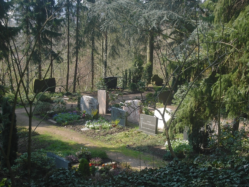 Friedhof_g16