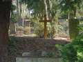 Friedhof_m07