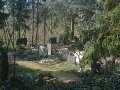 Friedhof_m16